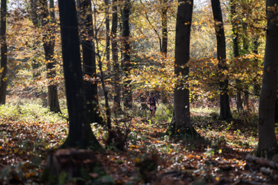 Skyrunning World Series Success & At-Home Racing: This Week's Trail Tally