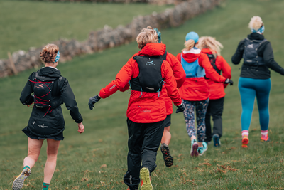 Are You A Harrier Trailblazer?