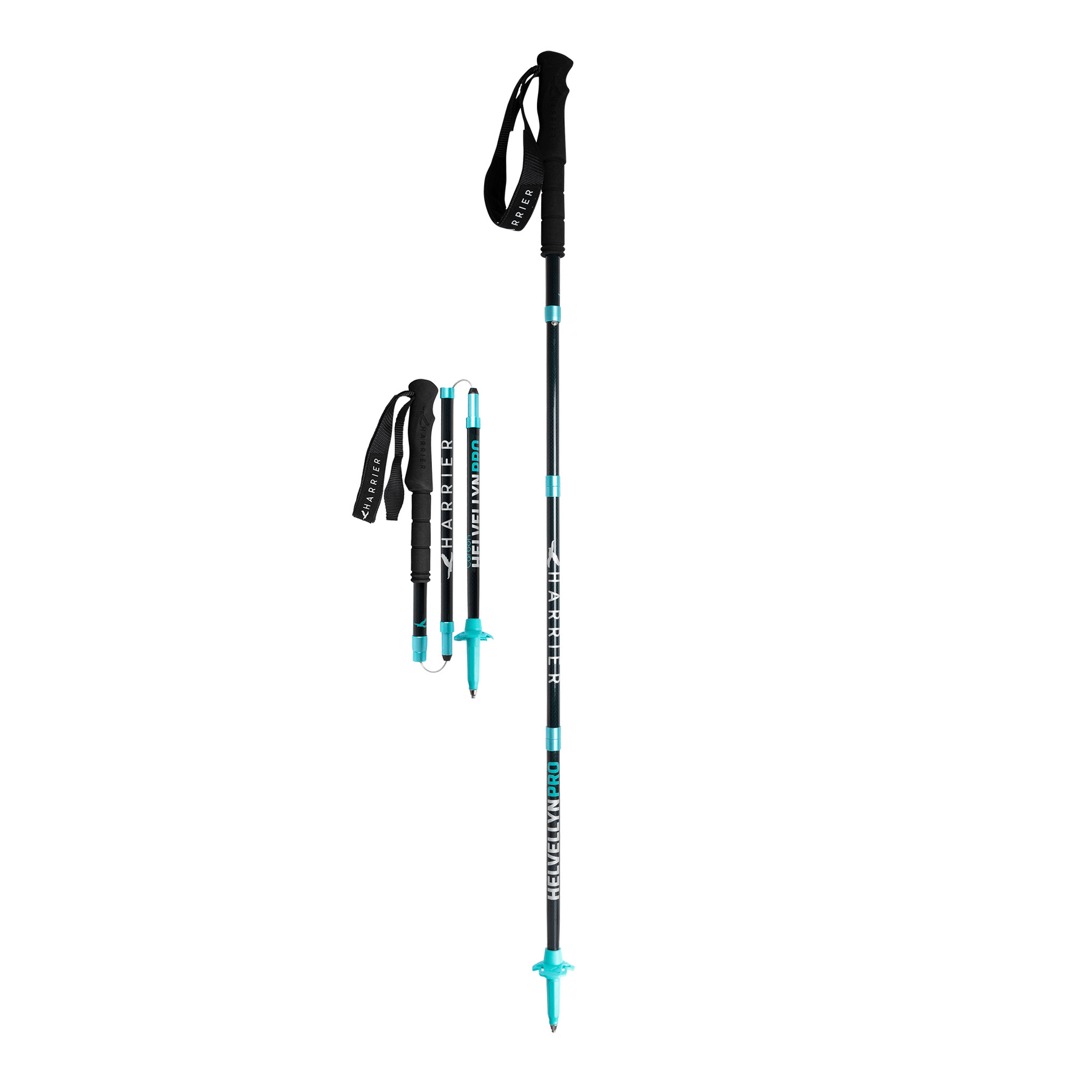 Rossignol feather outlet pro